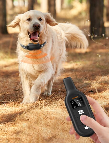 Suņu dresūras siksnas