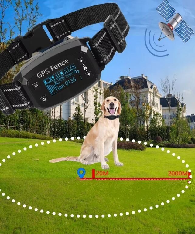 Bezvadu Suņu radiosēta ar GPS pozicionēšanu, 30m-2000m žoga diapazons, 1 sunim, uzlādējama, regulējami apmācības līmeņi