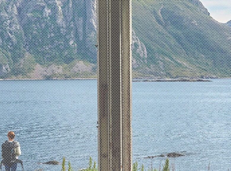 Moskītu tīkls logam, insektu un kukaiņu siets loga rāmim ar velcro aizdari, baltā krāsā, 130 x 150 cm