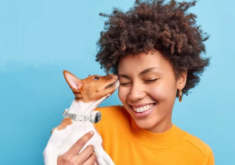 MINI pretriešanas kakla siksna suņiem, miniatūrajām mazām suņu šķirnēm, uzlādējama, mitruma izturīga (Skaņa, vibrācija, elektro impulss)