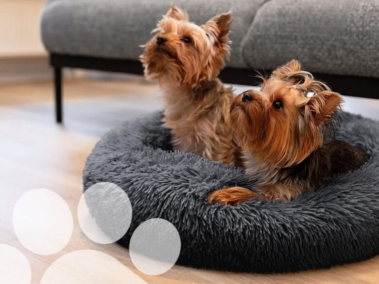 Pūkaina guļvieta dzīvniekiem, mazu suņu un kaķu siltā gultiņa, siltais plīša spilvens, 50cm