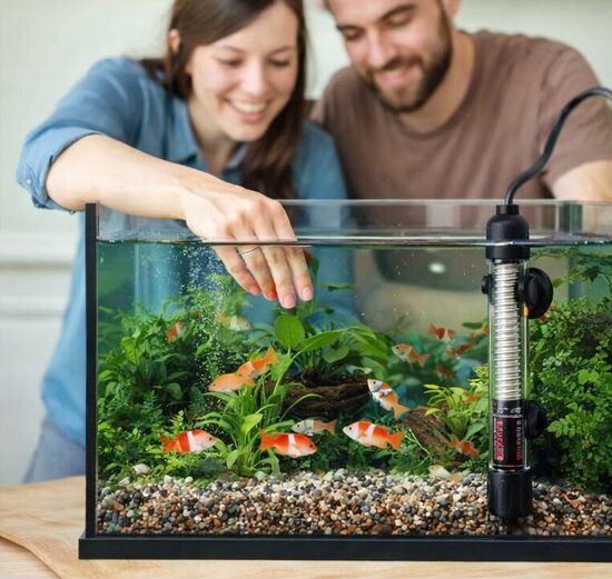 Akvārija ūdens sildītājs 100 W, ar termostatu temperatūras kontrolei, efektīvs sildītājs 100 litru akvārijam