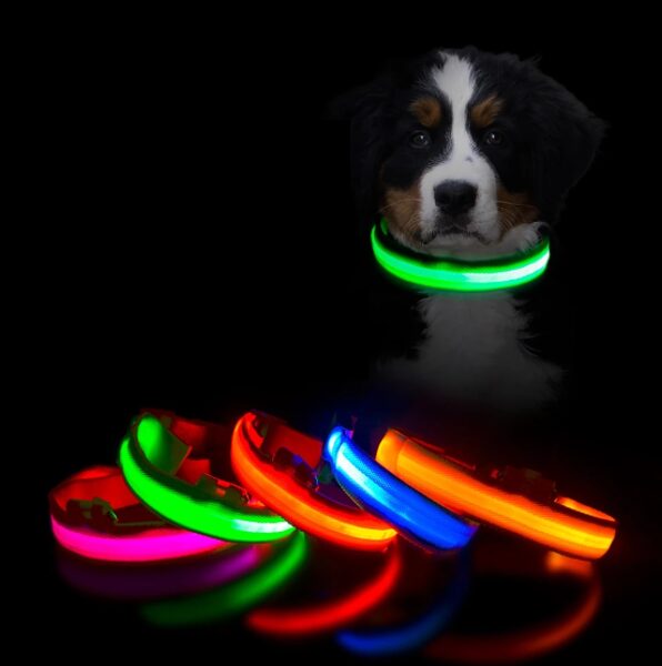 LED kakla siksna suņiem, ar LED apgaismojumu, drošībai tumšā laikā, uzlādējama ar USB