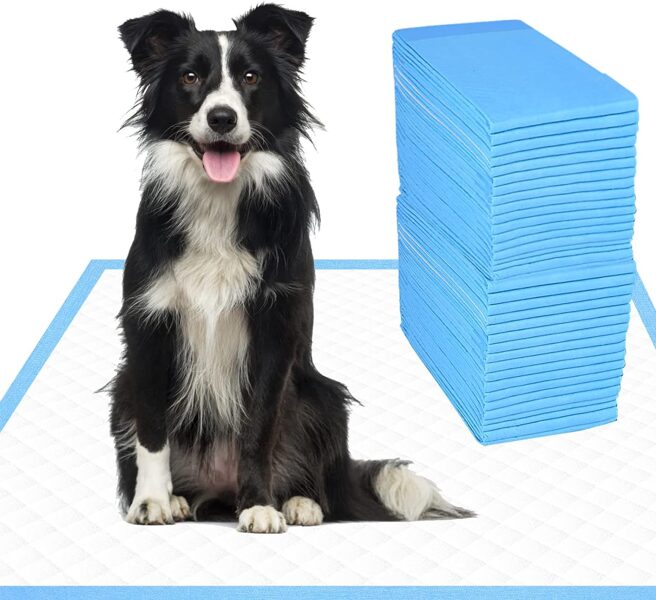 Vienreizlietojamie absorbējošie paladziņi kucēniem un dzīvniekiem, 60x40cm 100 gb + 30gab higiēniskie ekskrementu maisi