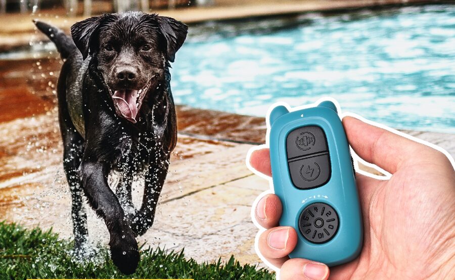 Suņu dresūras siksna - treniņu kakla siksna (400m distance), dažādu šķirņu suņiem un kucēniem, ar skaņu, vibrāciju un elektroimpulsu, uzlādējama un regulējama
