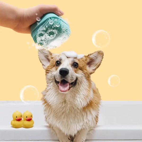 Dzīvnieku, suņu un kaķu mazgāšanas švamme ar šampūna tvertni, birste zilā krāsā