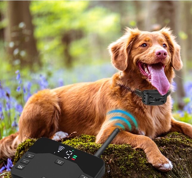 Suņu bezvadu WI-FI radiosēta 250m (viedais žogs) + dresūras siksna, skaņa, vibrācija, elektroimpulss, mitruma izturīga un uzlādējama, 1 vai 2 suņiem