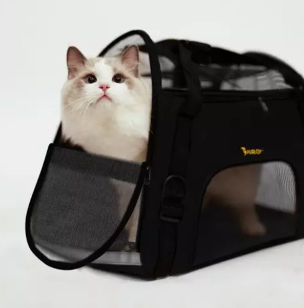 Kaķu transportēšanas/pārvadāšanas, dzīvnieku pārnēsājamā ceļojuma soma